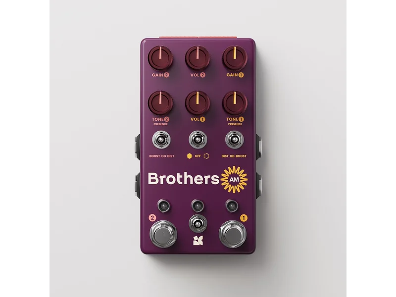 Chase Bliss Brothers AM
